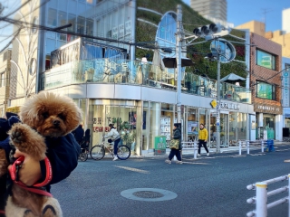 駒沢大学駅のランチのジョージ(駒沢食堂)の外観と犬