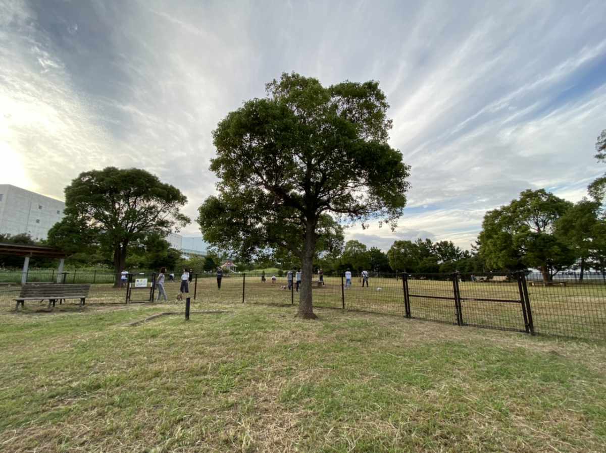 城南島海浜公園のドックラン