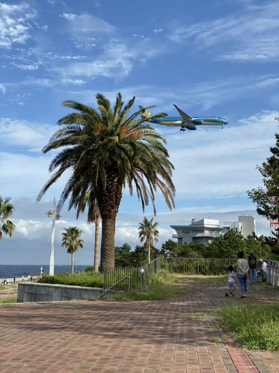 城南島海浜公園は砂浜とドッグランと飛行機 愛犬と1日過ごせる最高の公園だった ペット可まとめ 城南島海浜公園は砂浜とドッグランと飛行機 愛犬と1日過ごせる最高の公園だった ペット可まとめ