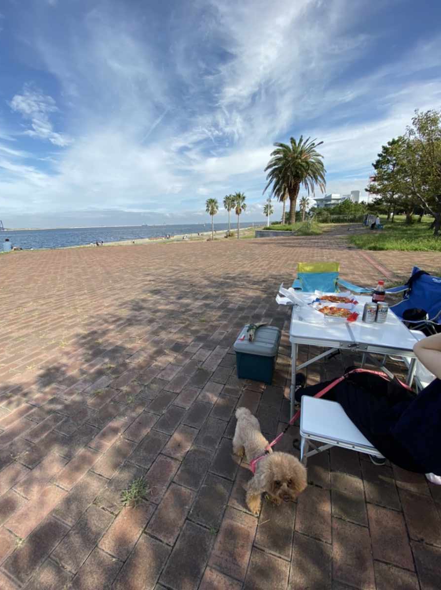 城南島海浜公園でミニキャンプ