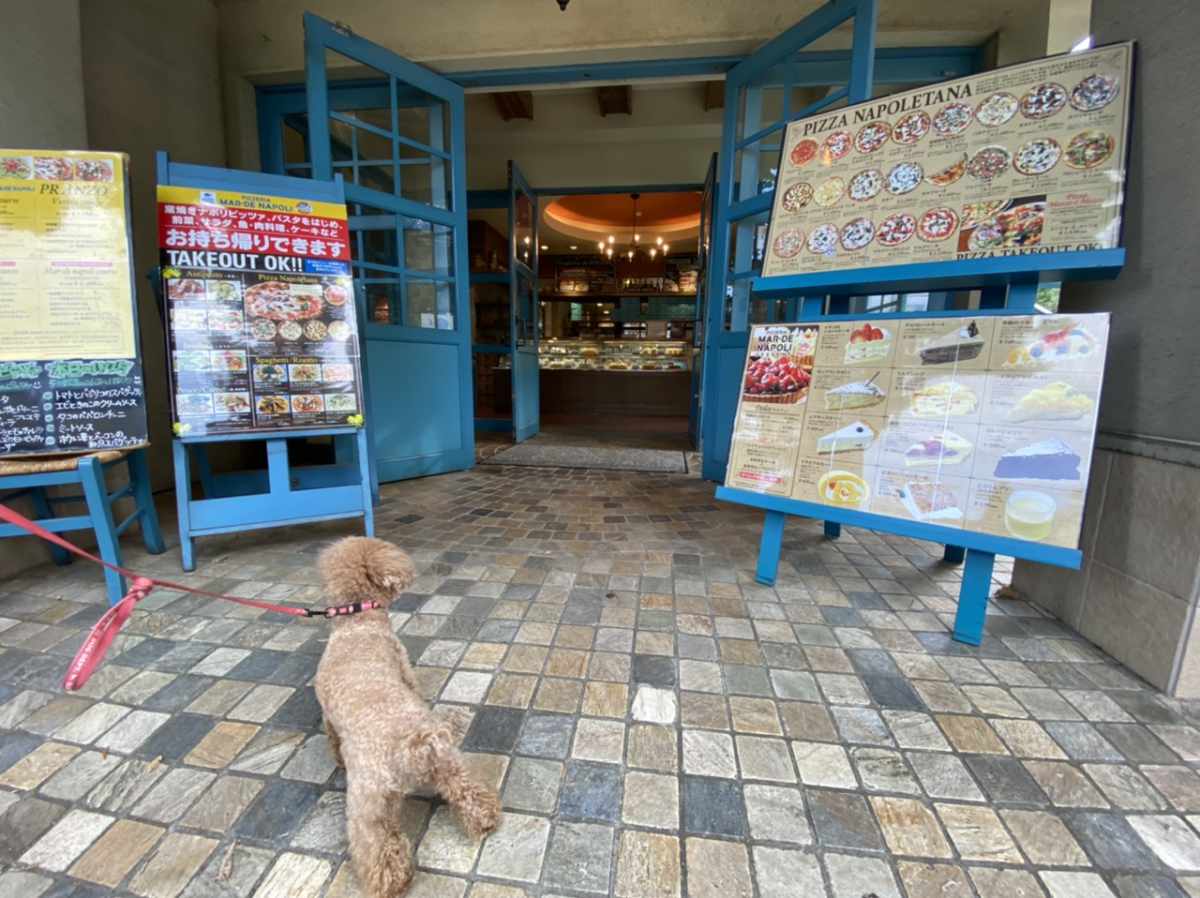 練馬区の大泉学園の青い建物がおしゃれな マルデナポリ Mar De Napoli で愛犬とランチ テラス席ペット同伴可能 ペット可まとめ