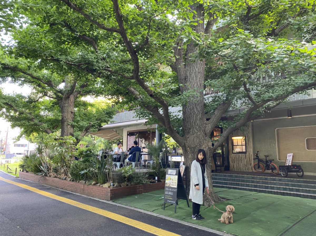 犬と一緒にロイヤルガーデンカフェ青山、外観