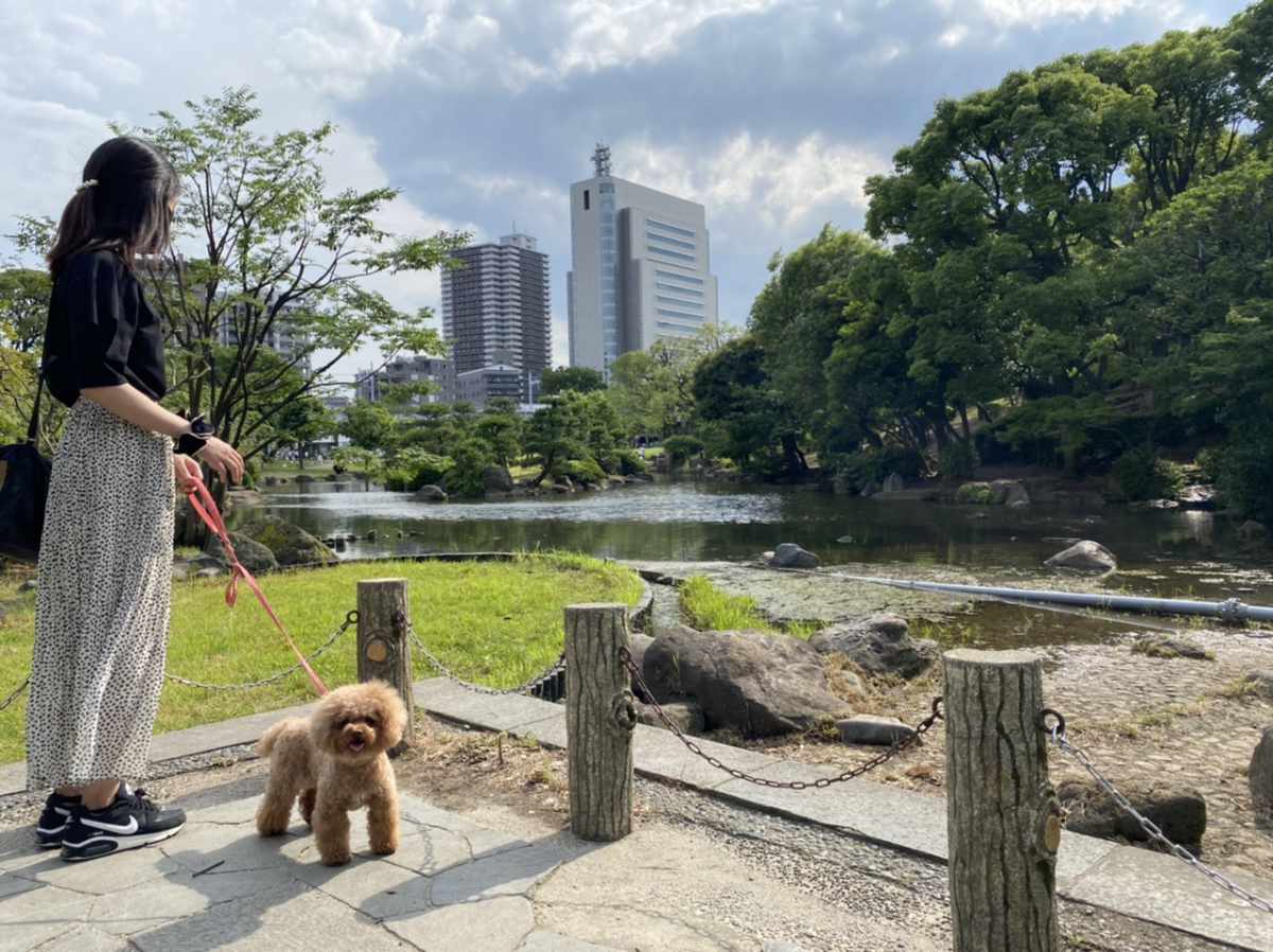 墨田公園に愛犬と