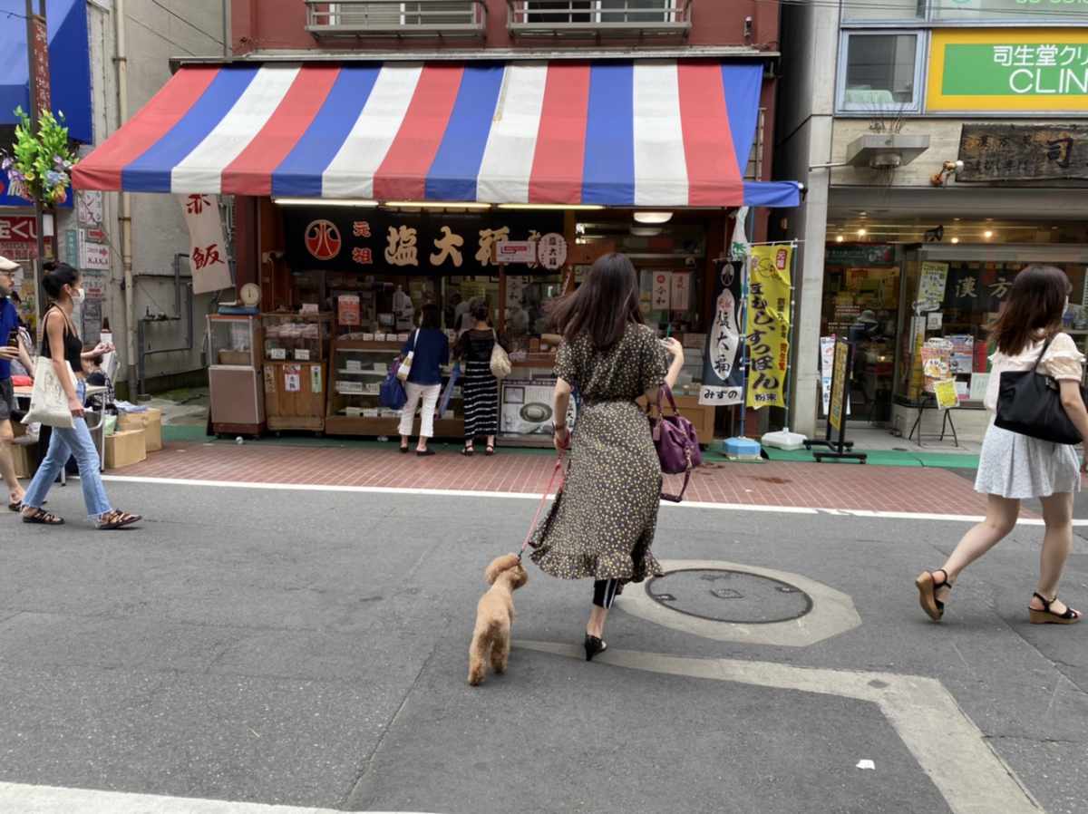 巣鴨の食べ歩き、塩大福