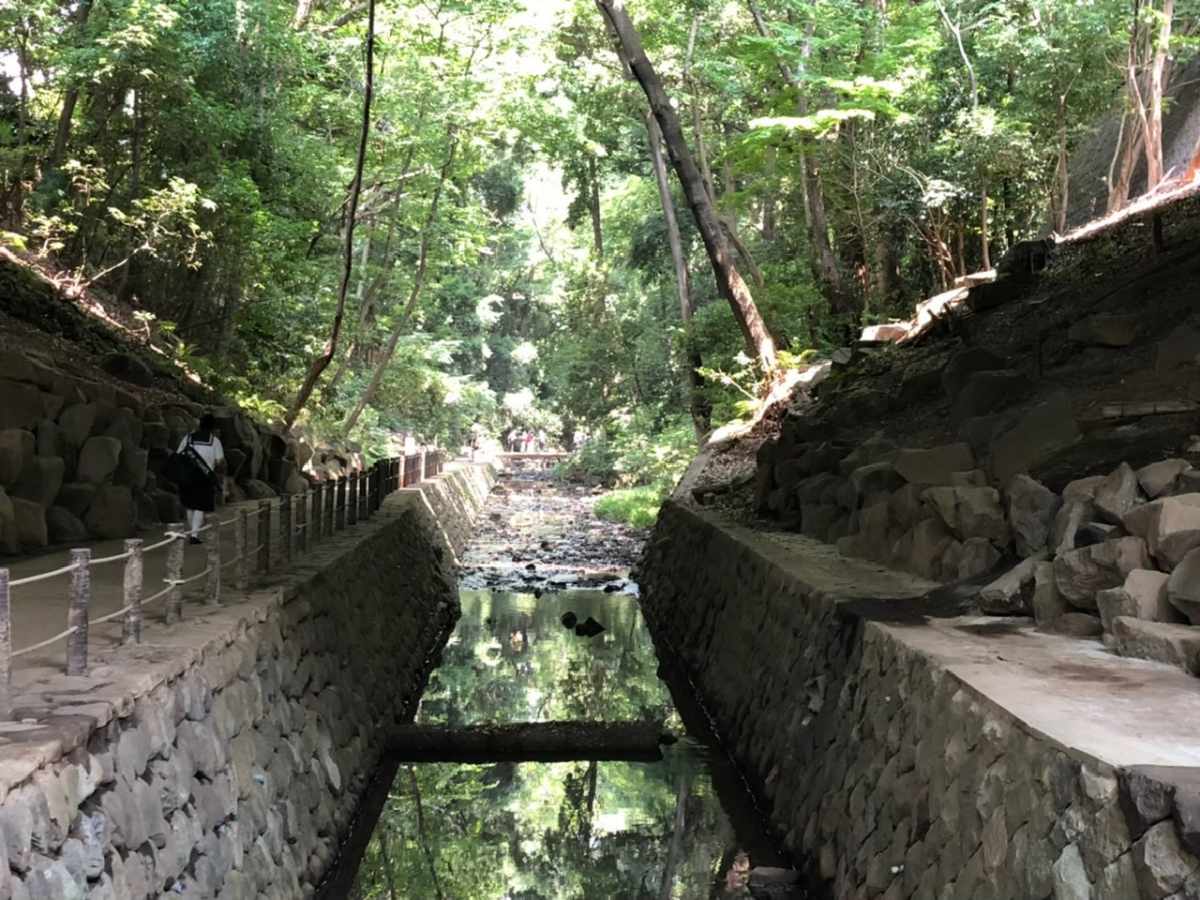 等々力渓谷公園の風景