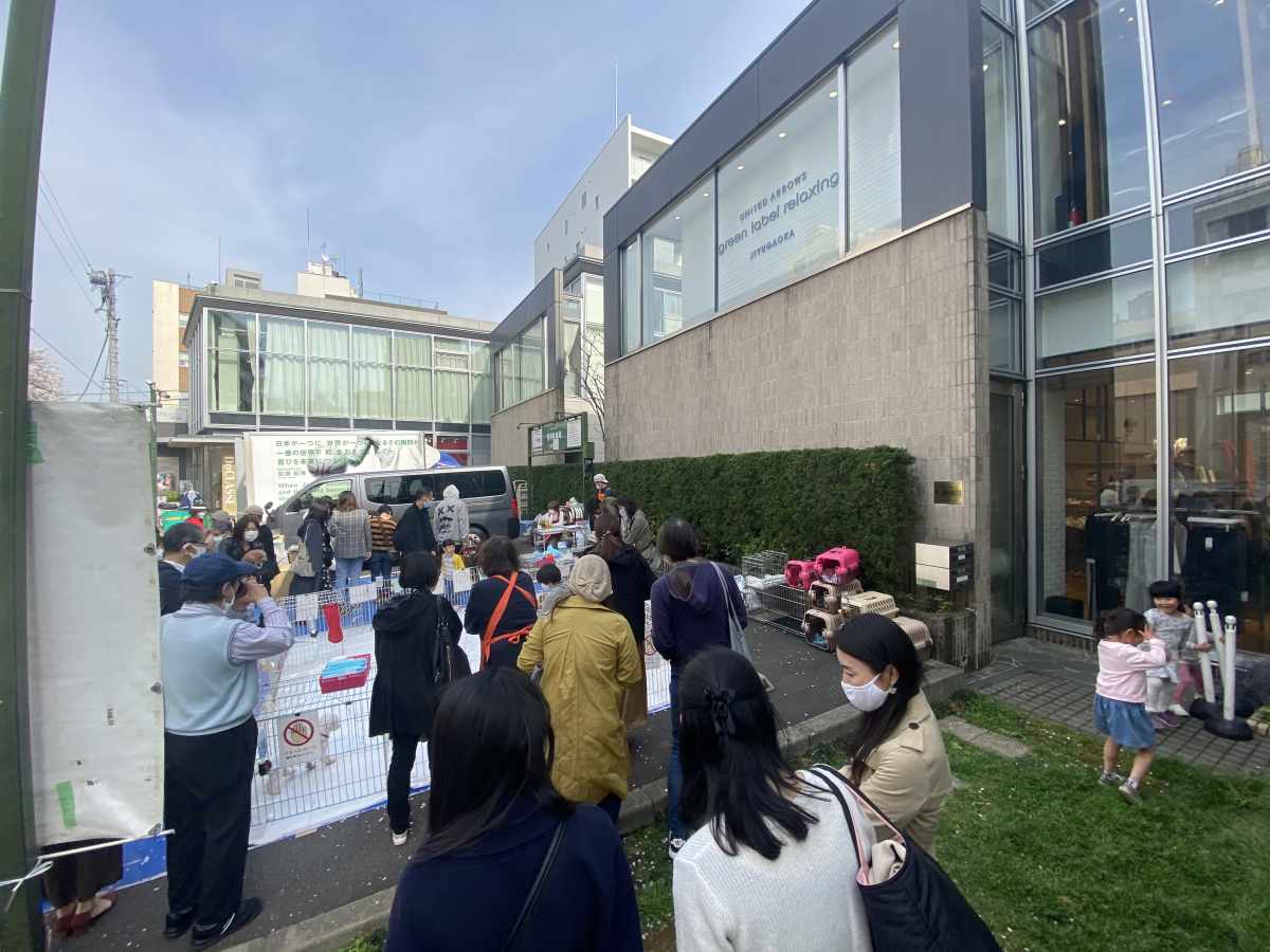 自由が丘 犬の譲渡会の様子