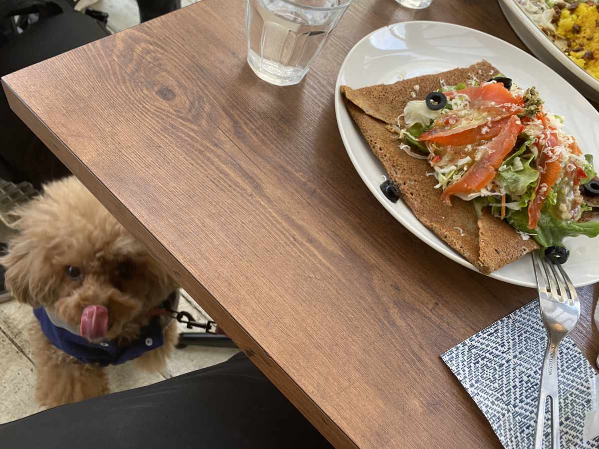 カフェ・ドゥ・リエーヴル うさぎ館のガレットと犬