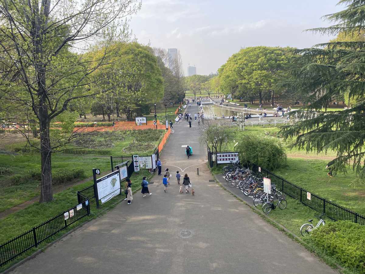 代々木公園 ドッグランはもちろん 近隣の散策が楽しい カフェも多数 ペット可まとめ 東京都内で愛犬とランチや食べ歩き 公園やドッグラン 買い物ができるとこ まとめ