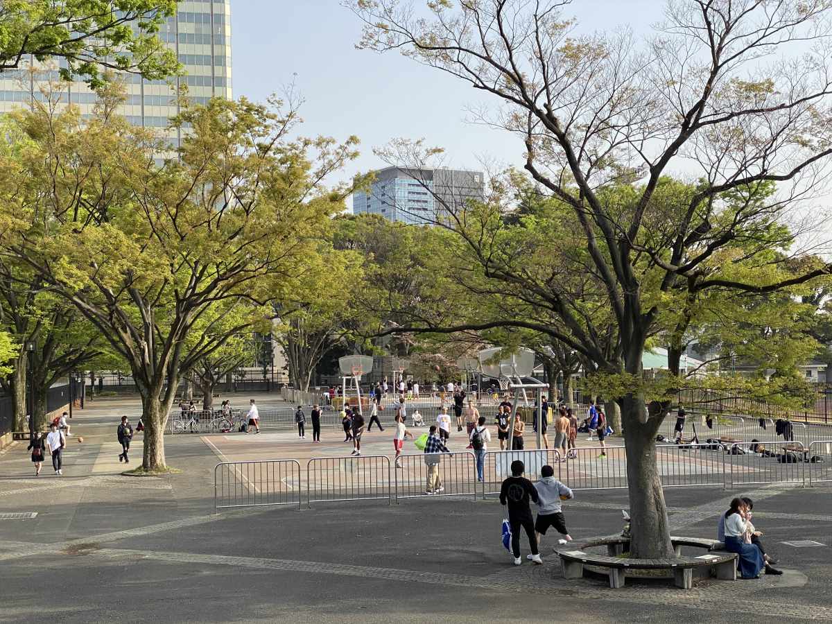代々木公園 バスケットコート