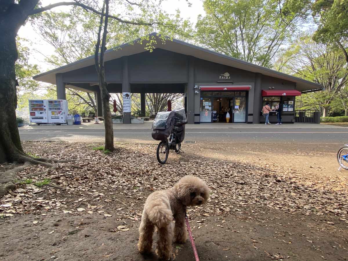 代々木公園　駐車場すぐの売店