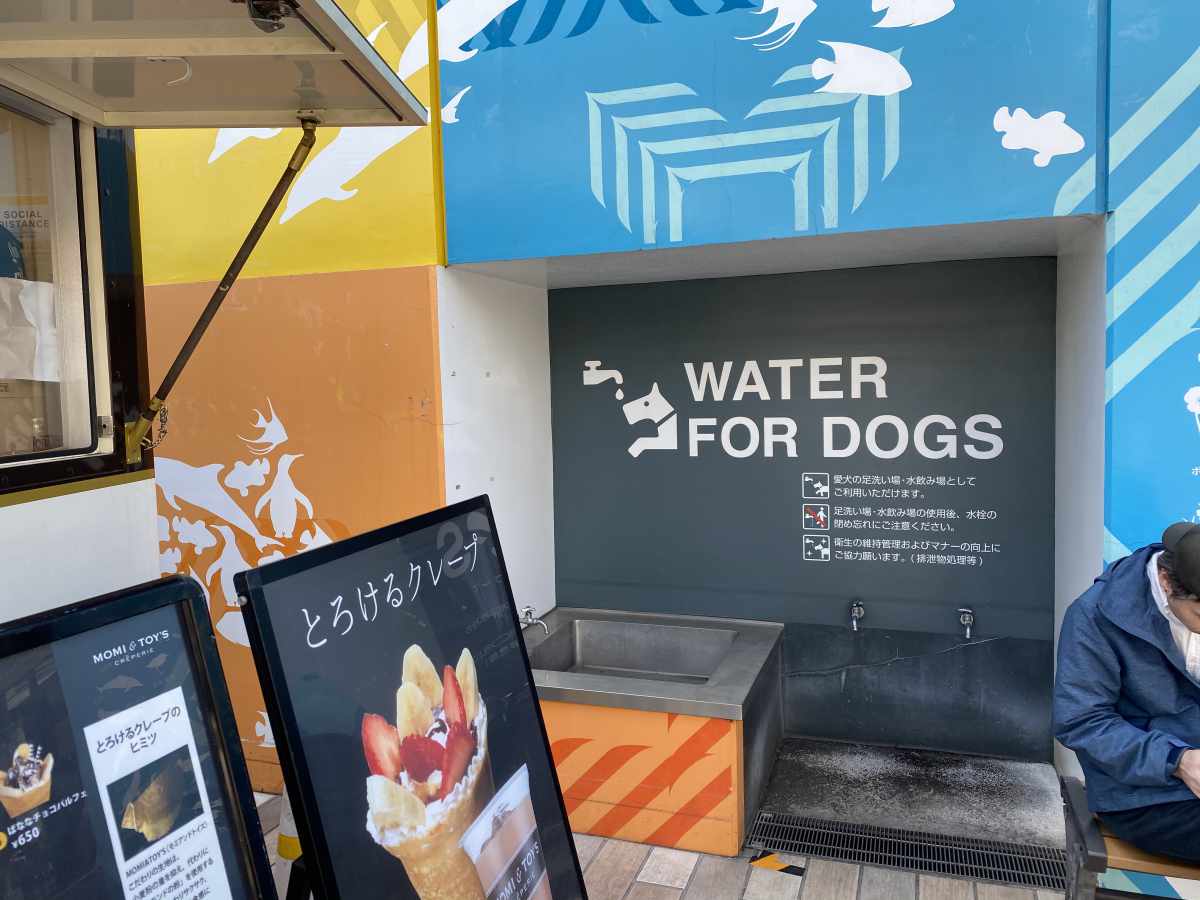 木更津アウトレットのフードコートの犬の為の水飲み場