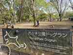 【代々木公園】ドッグランはもちろん!近隣の散策が楽しい。カフェも多数!