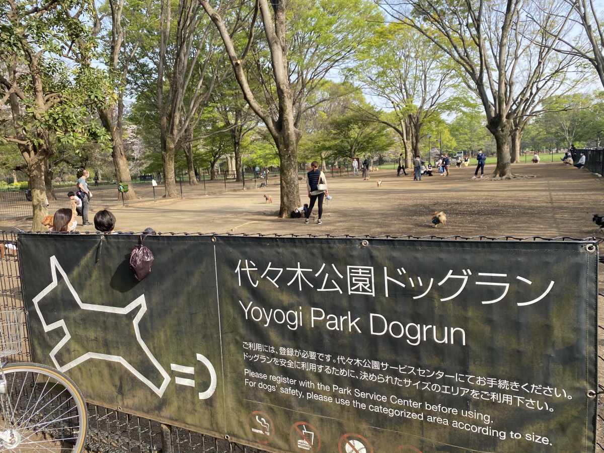 代々木公園　ドッグラン