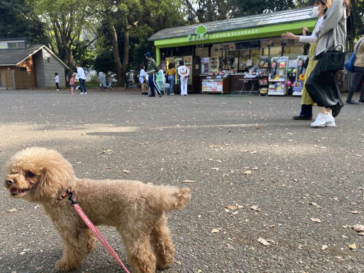 代々木公園　原宿駅方面入り口のすぐの売店