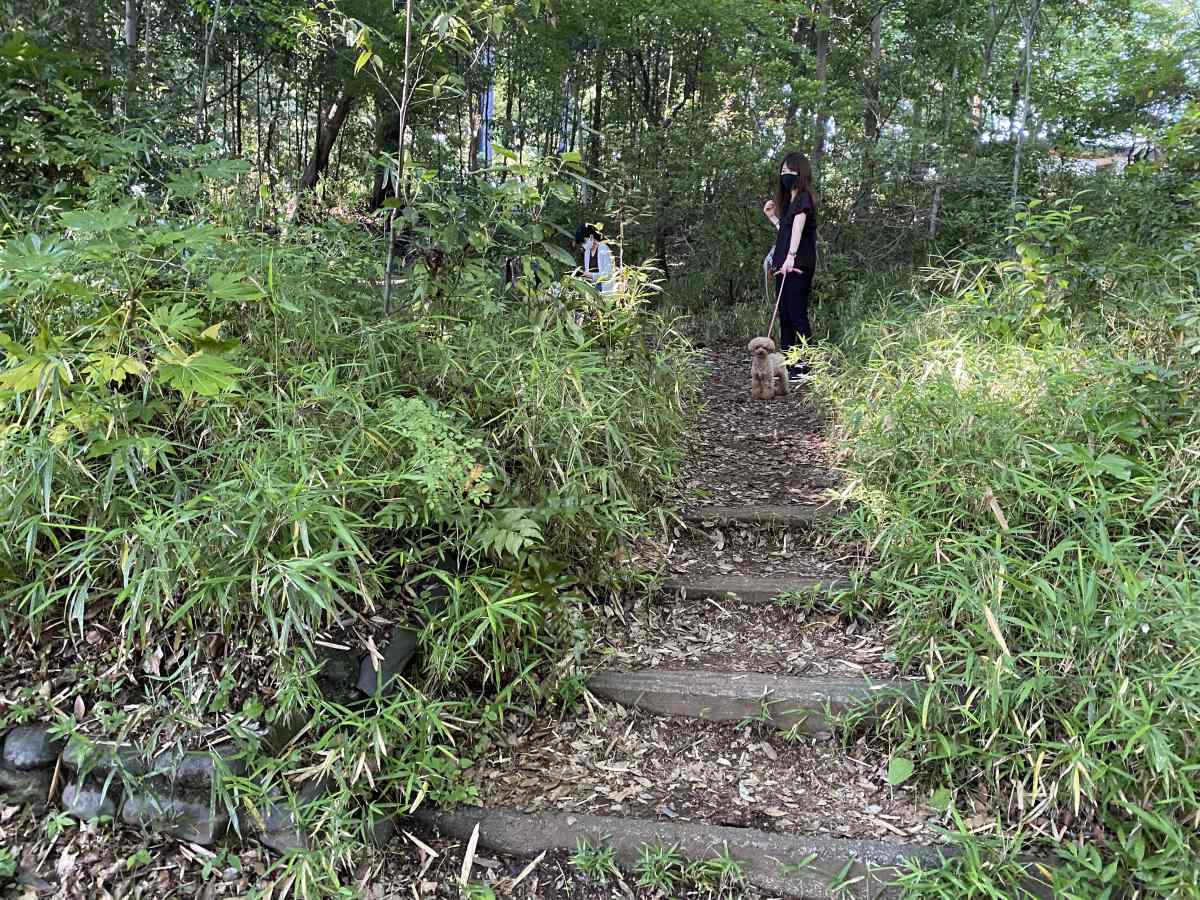 石神井公園の高台に愛犬と