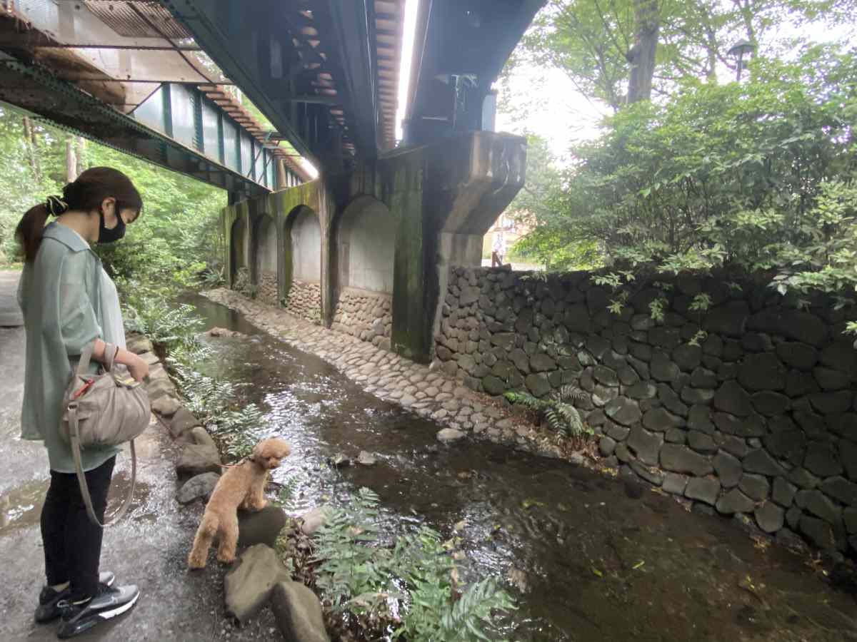 井の頭公園内でエモいところ、井の頭線高架下