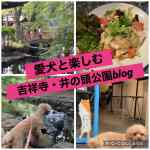 【吉祥寺】井の頭公園&街を愛犬と散歩【ペット同伴可能なカフェも多数♪】