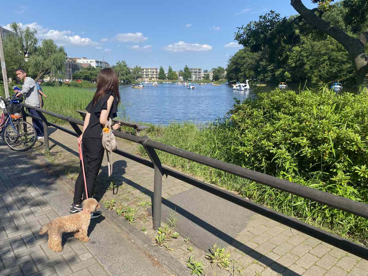 石神井公園の湖を愛犬と