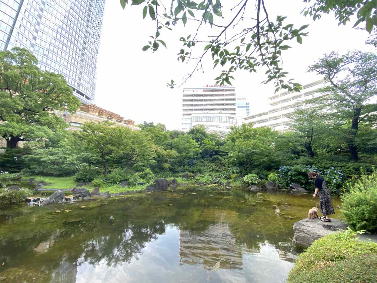 六本木ヒルズの毛利庭園