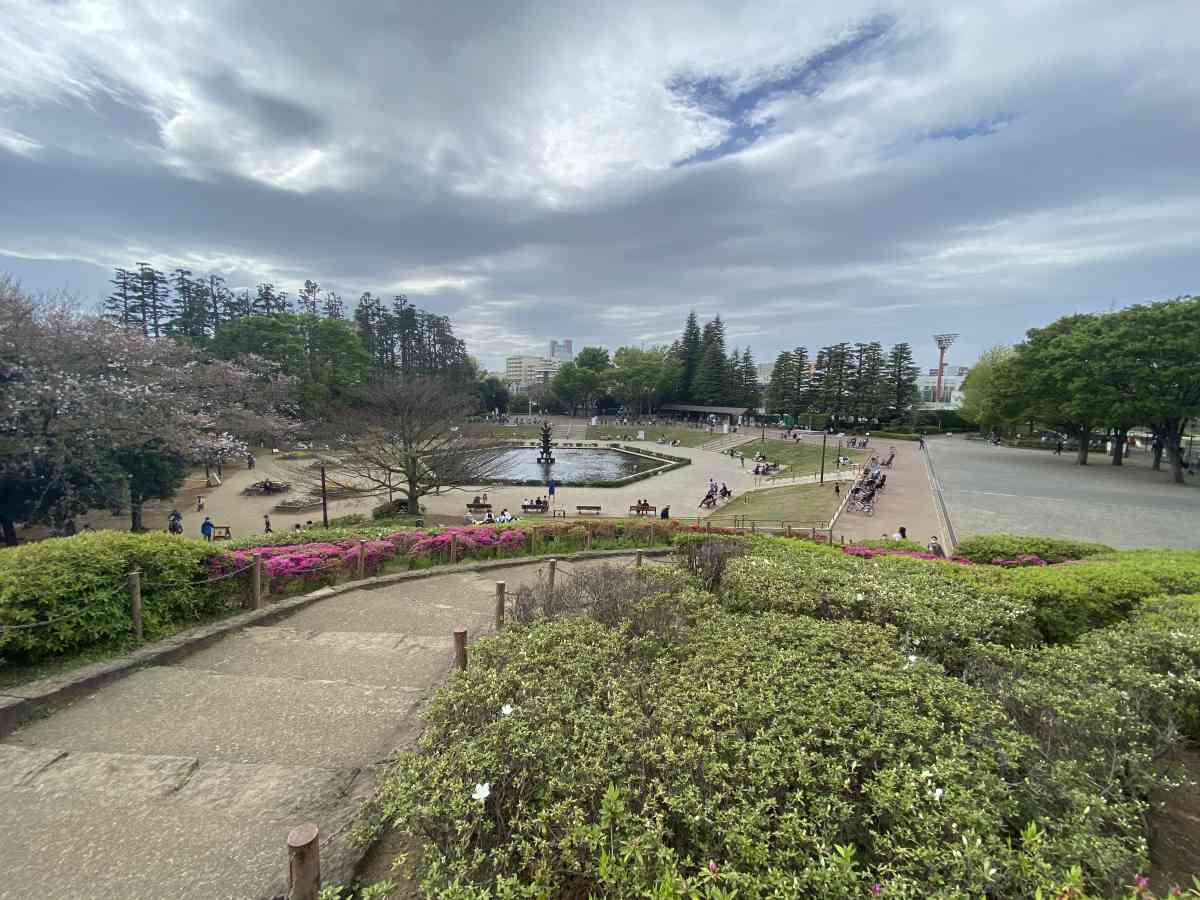 世田谷公園の山の上から