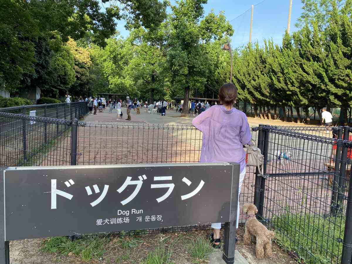 駒沢公園のドッグラン