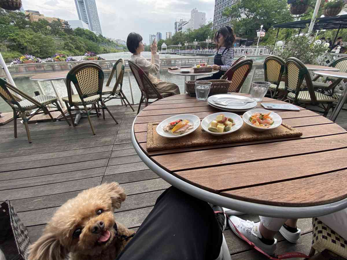 神楽坂・飯田橋のカナルカフェのテラス席と犬