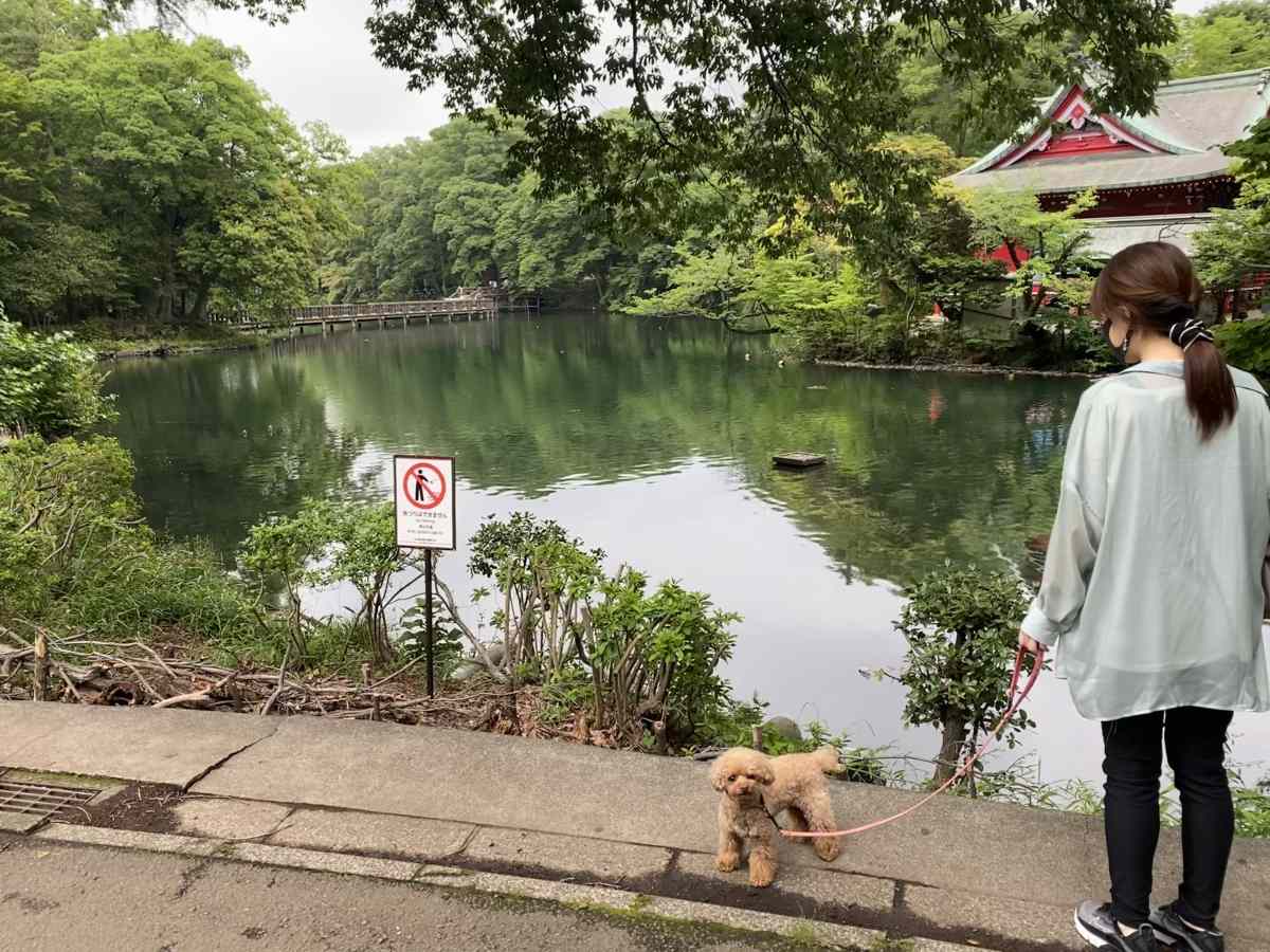 井の頭公園の雰囲気