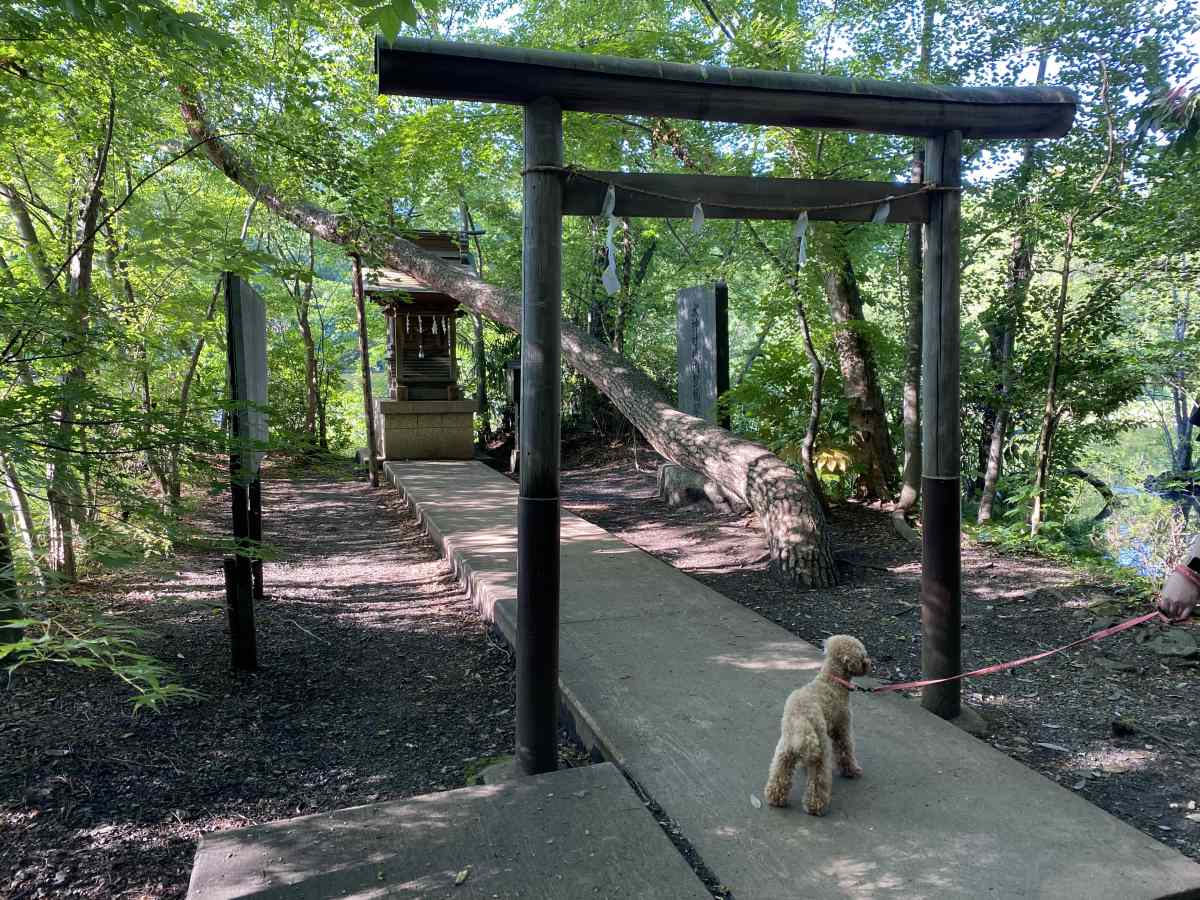 石神井公園の小さな鳥居