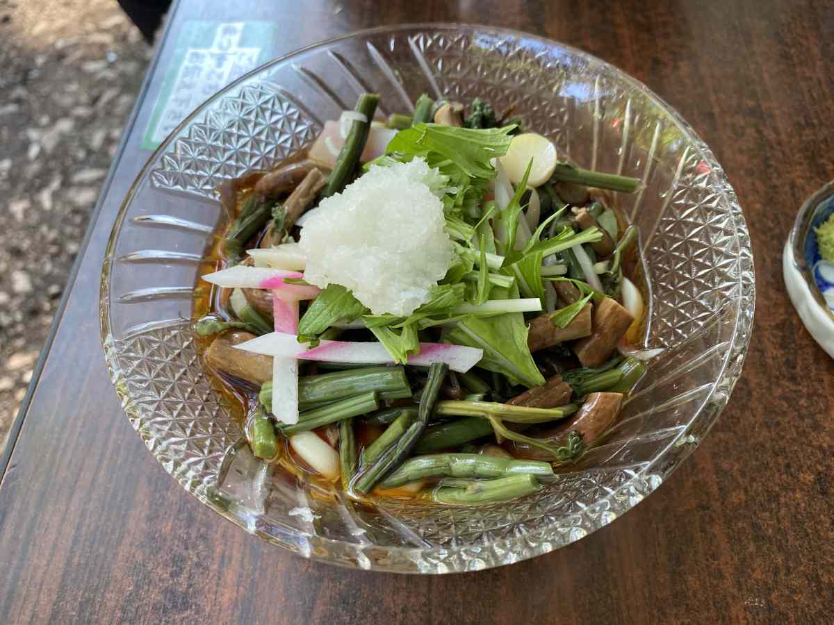 石神井公園の豊島屋の「山菜そば」