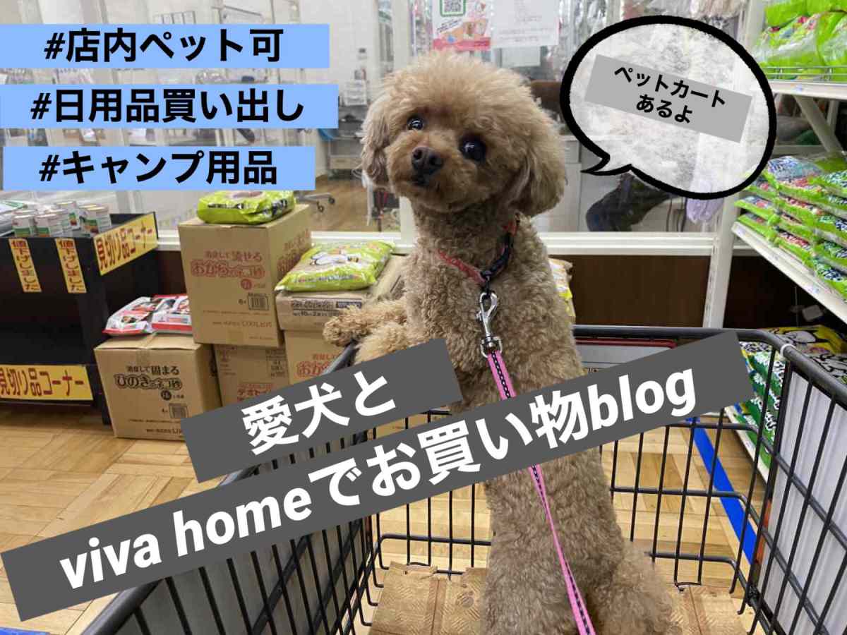 ビバホームで愛犬とお買い物 ペットカートの貸し出しが嬉しい ペット可まとめ