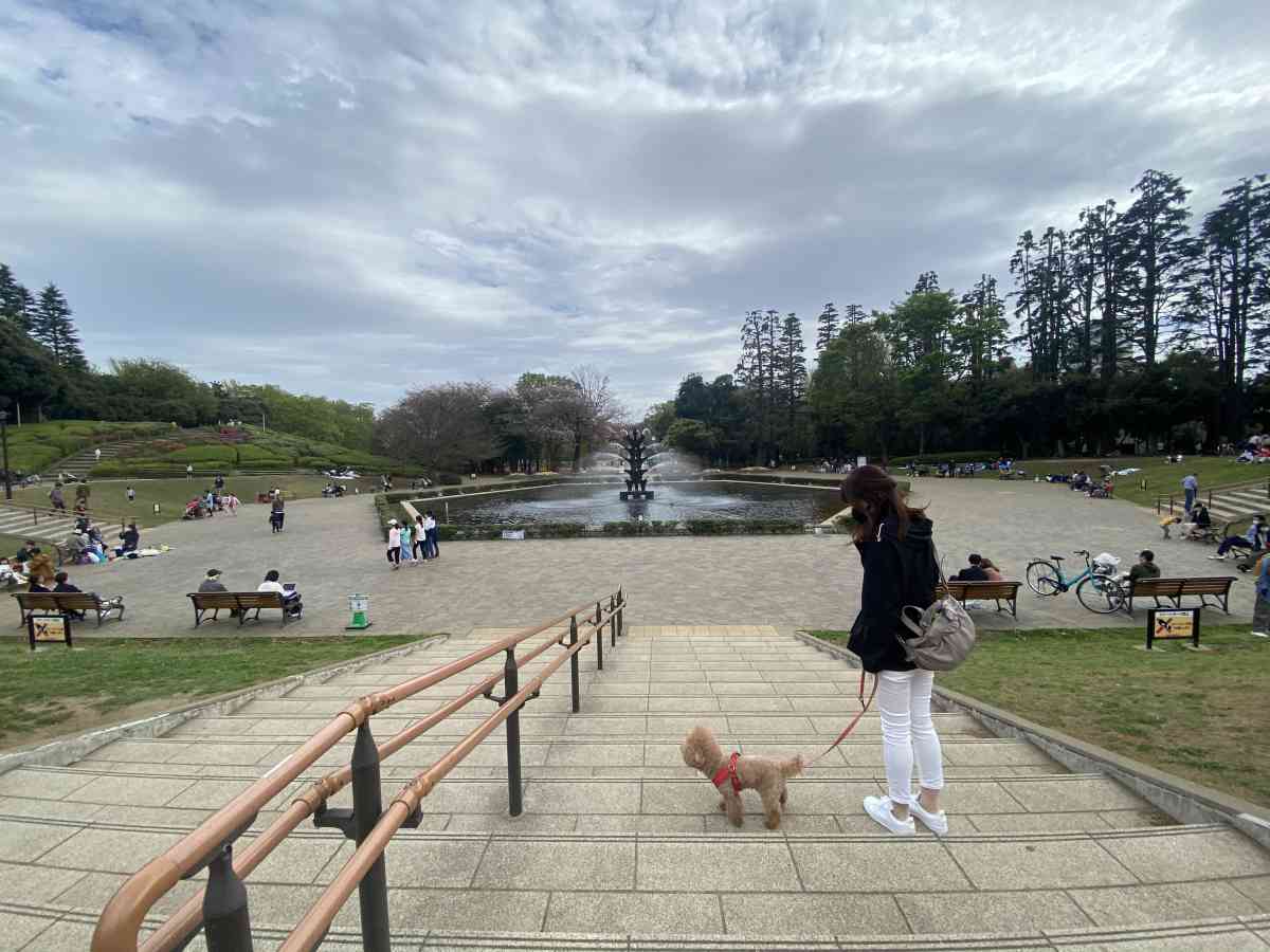 世田谷公園の噴水