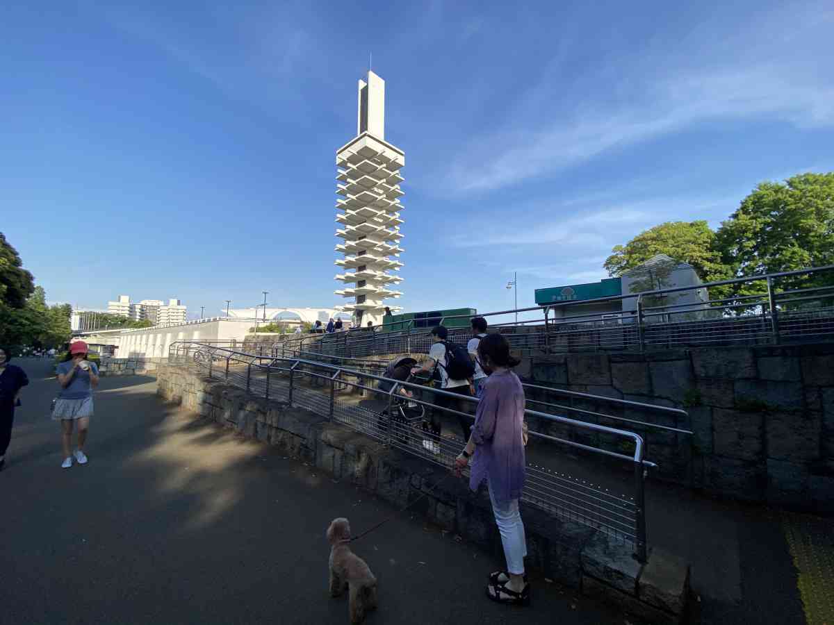 駒沢公園の飛び込み台