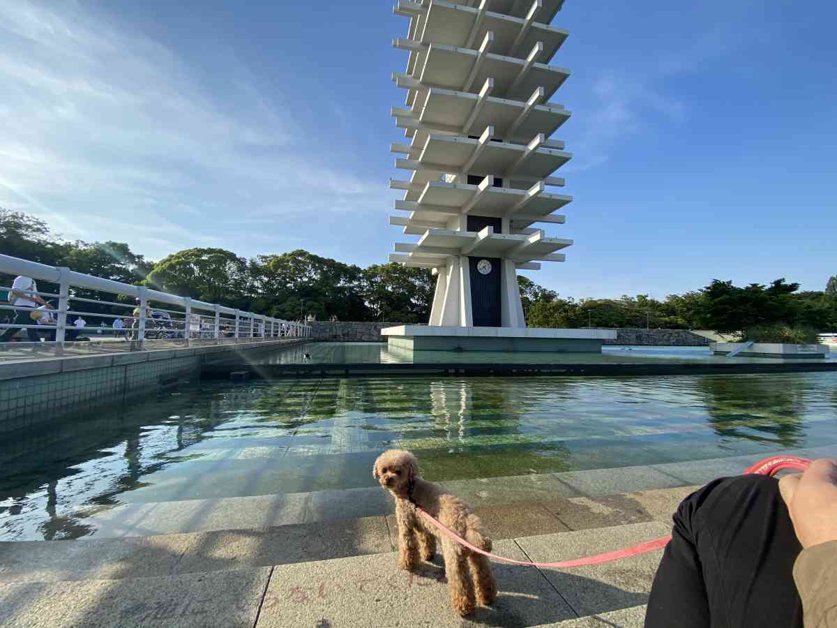 駒沢公園の池