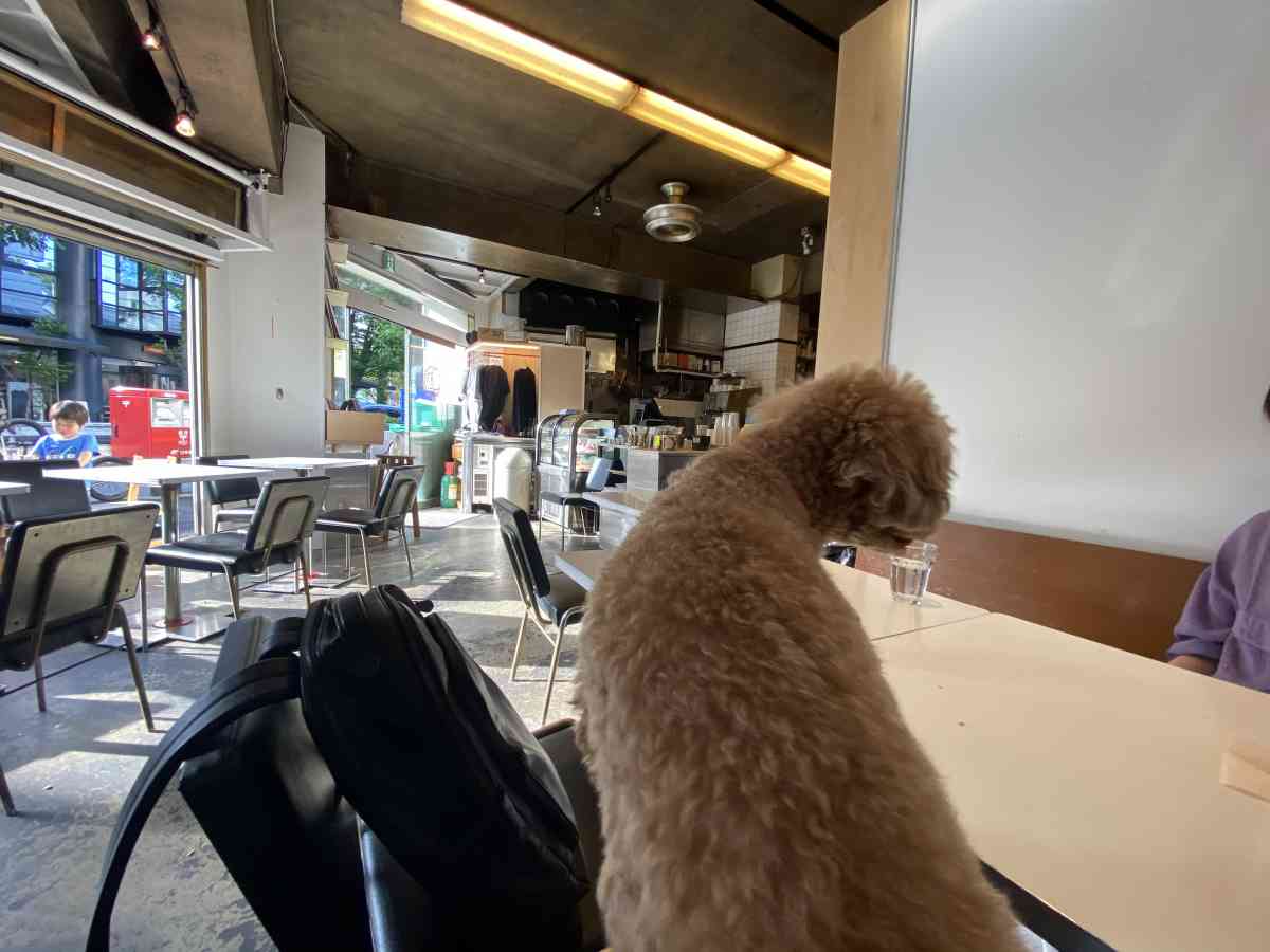 バワリーキッチン、店内で愛犬と