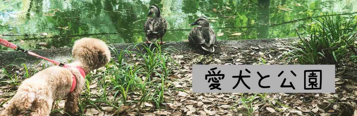 愛犬と行く公園を探す