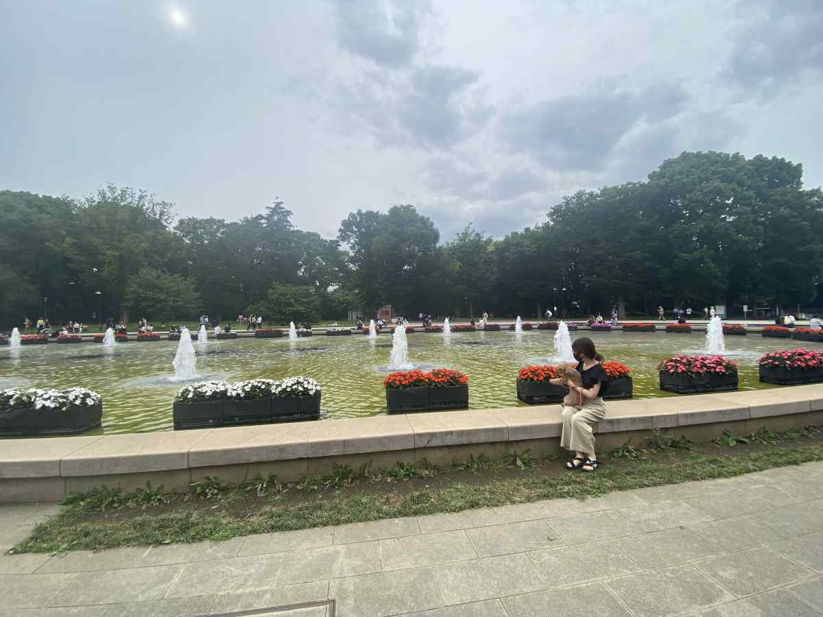 上野公園の噴水