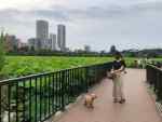 【上野公園】愛犬と美味しい食事やカフェも！