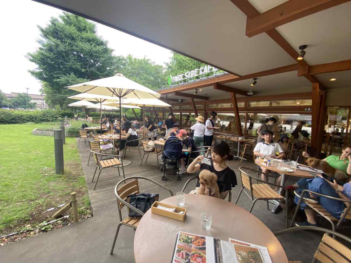 上野公園のパークサイドカフェ(park side cafe)のテラス席の雰囲気