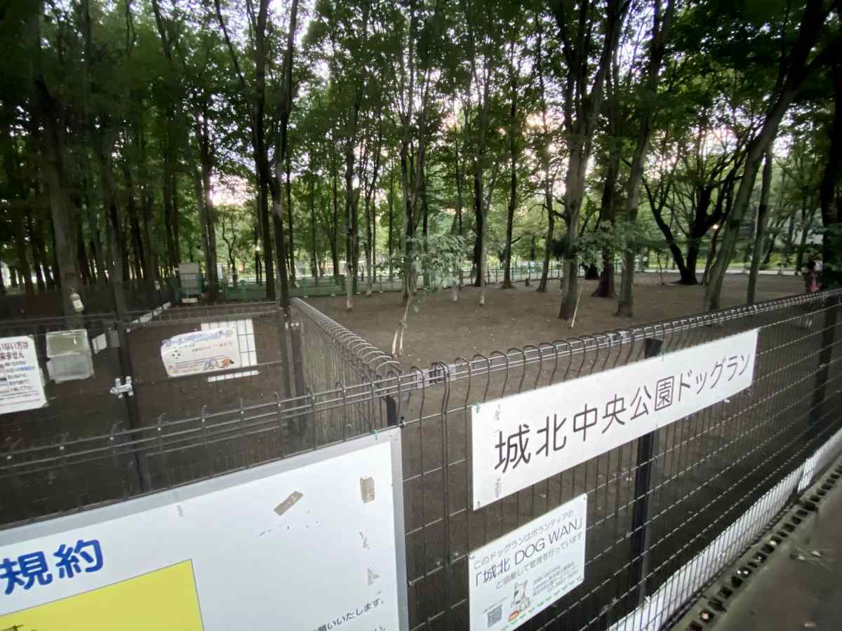 城北中央公園のドッグランの小型犬エリア