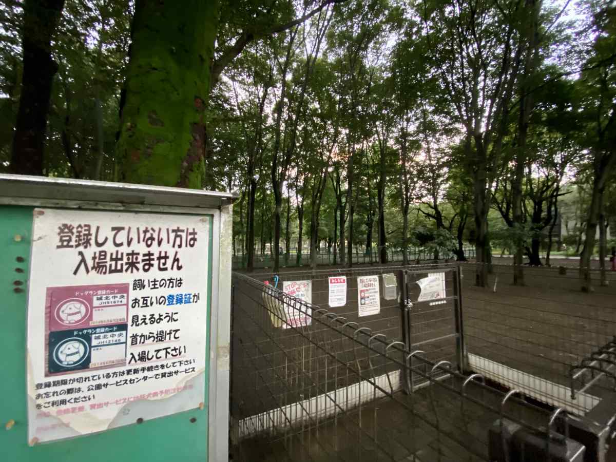 城北中央公園のドッグランの雰囲気