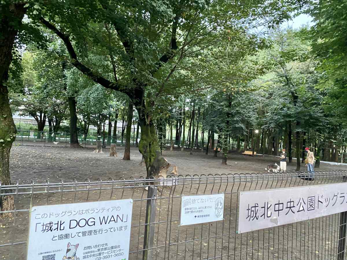 城北中央公園のドッグランの大型犬専用エリアの雰囲気