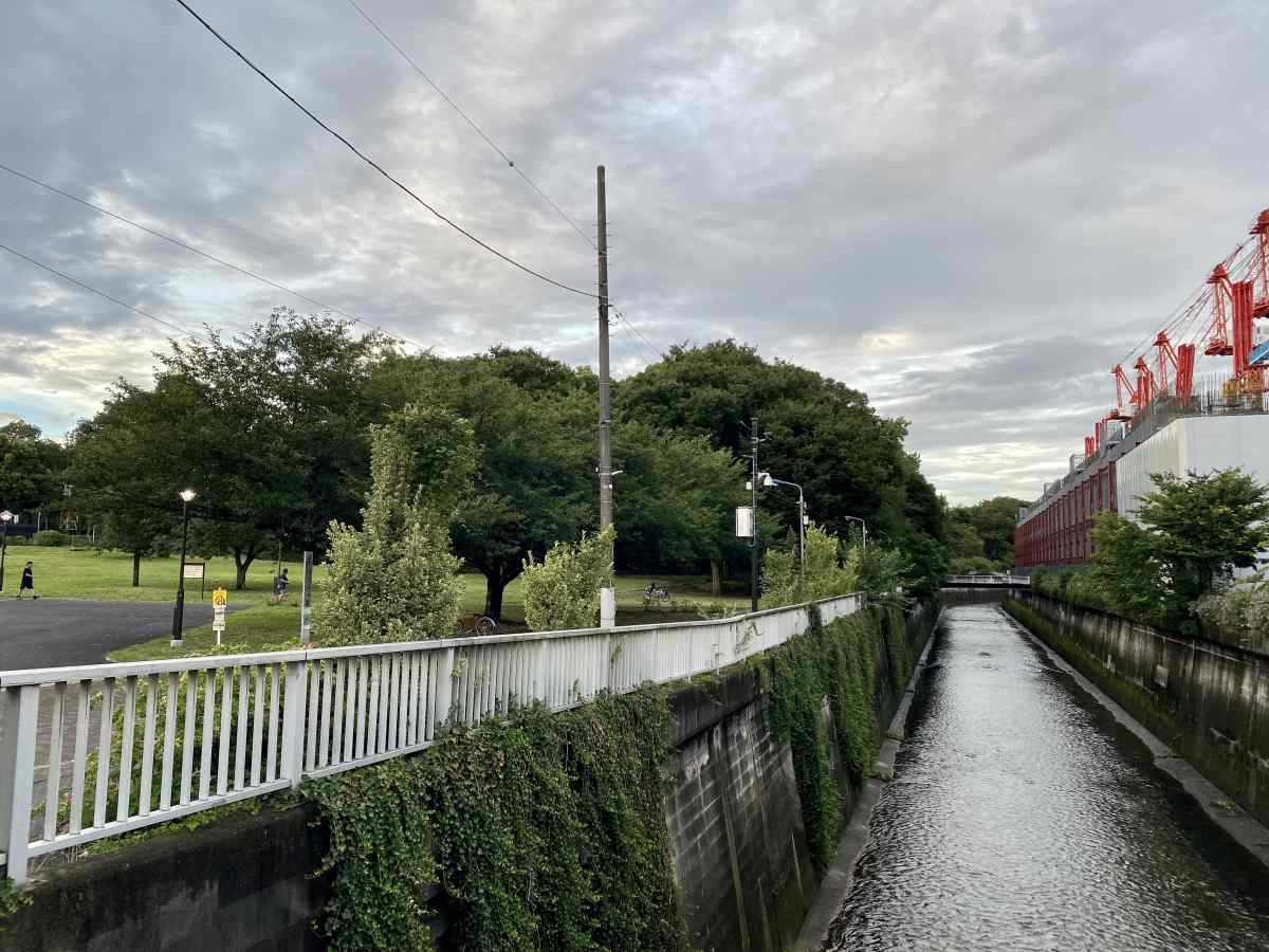 城北中央公園の石神井川