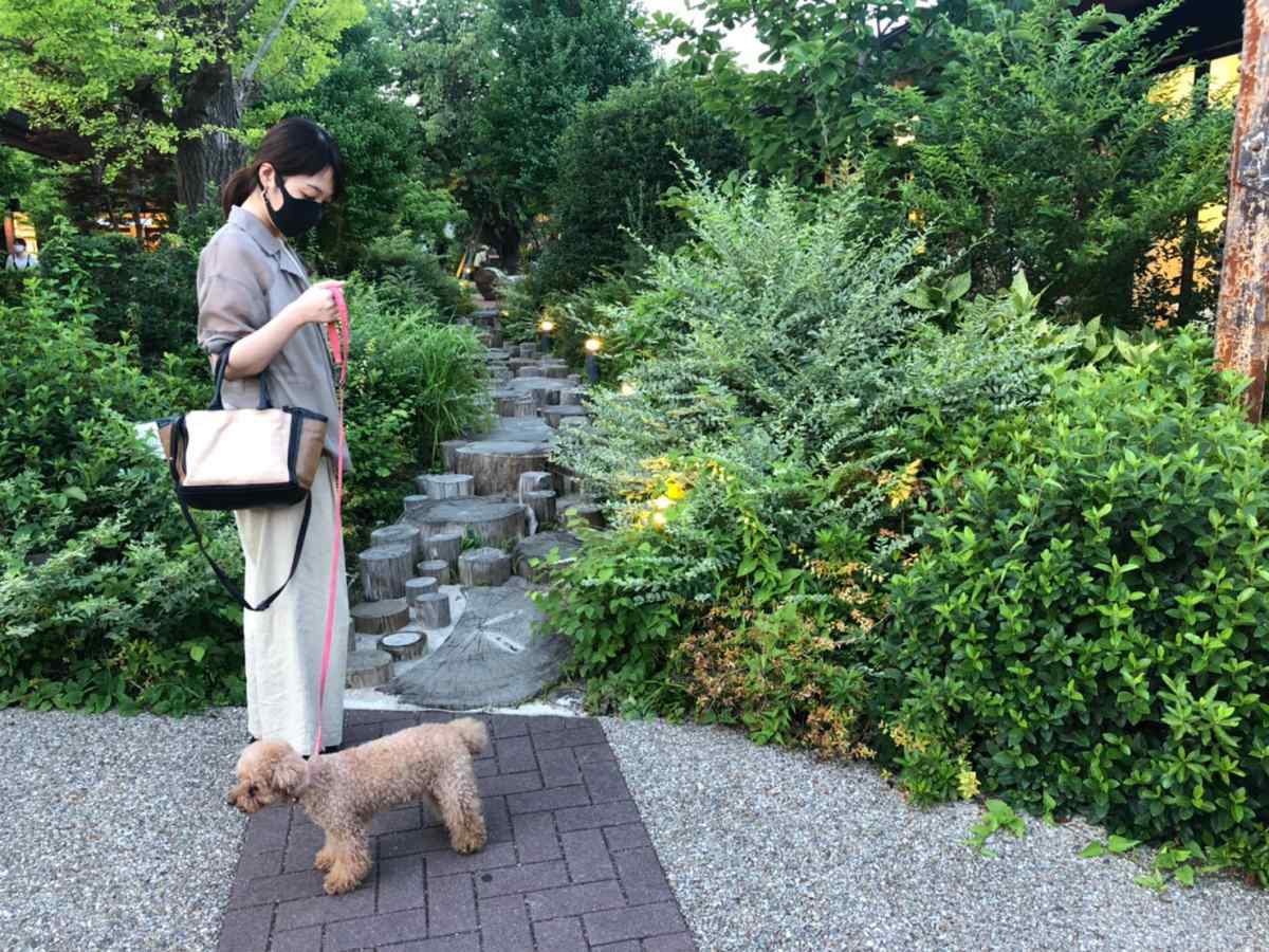 モリパーク アウトドアヴィレッジ(昭島)の雰囲気