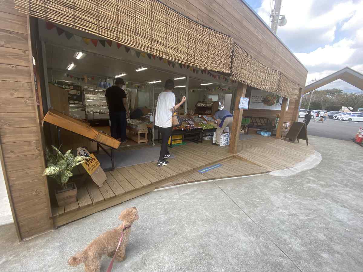 牧場deマルシェ@朝霞高原、まかいの牧場