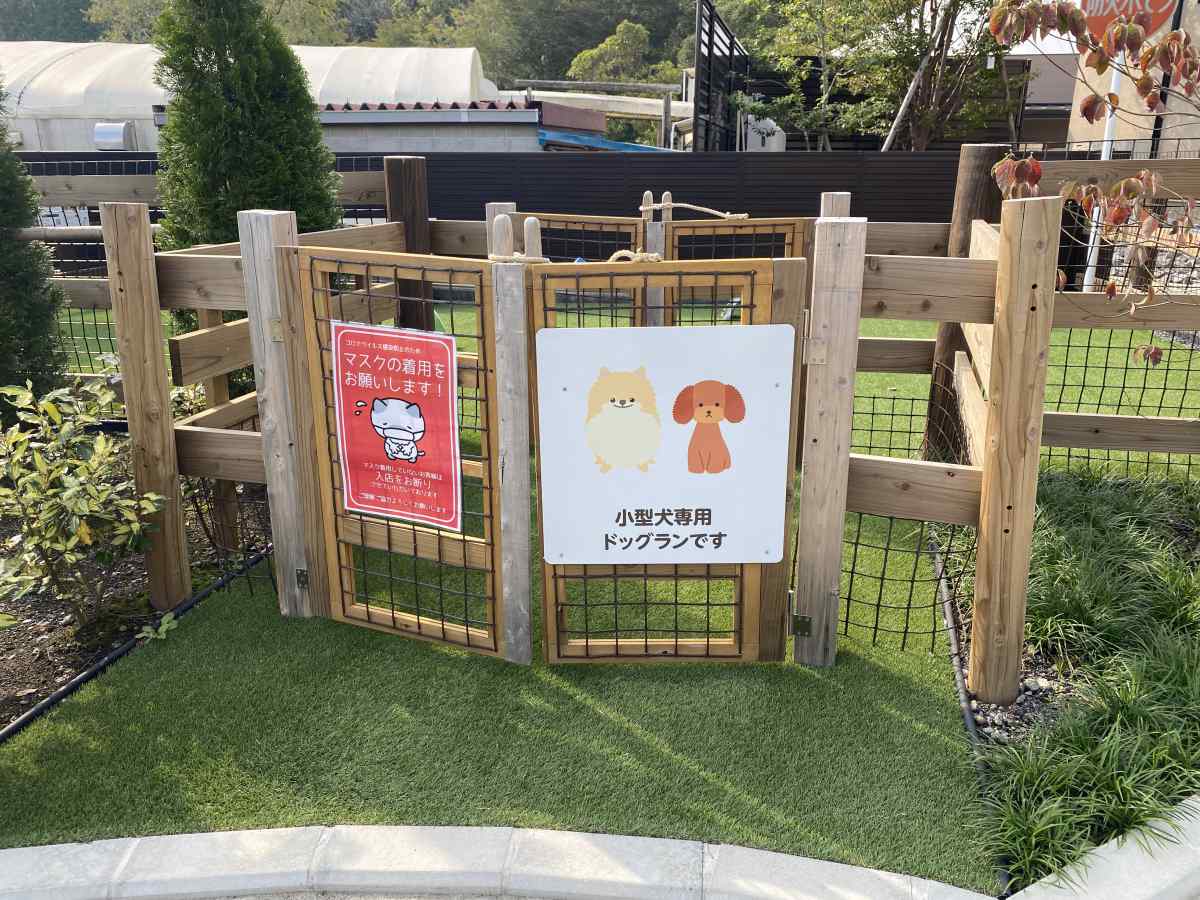 ドッグラン@朝霞高原、まかいの牧場