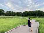 【足立区】舎人公園(とねり公園)ドッグランと湖!愛犬と訪れた感想♪