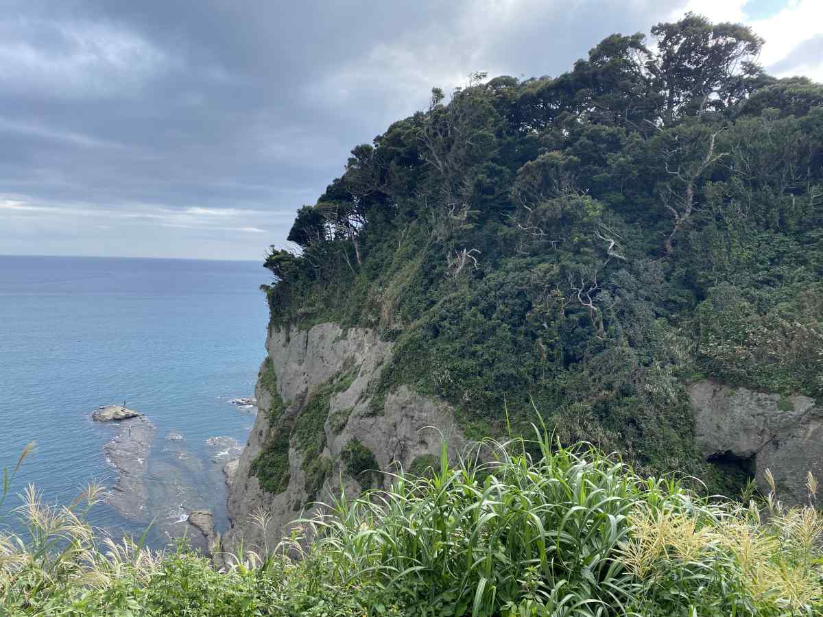 江の島の頂上からの眺望