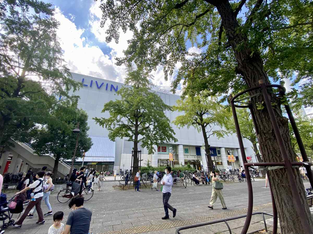 光が丘公園、IMAのLIVIN