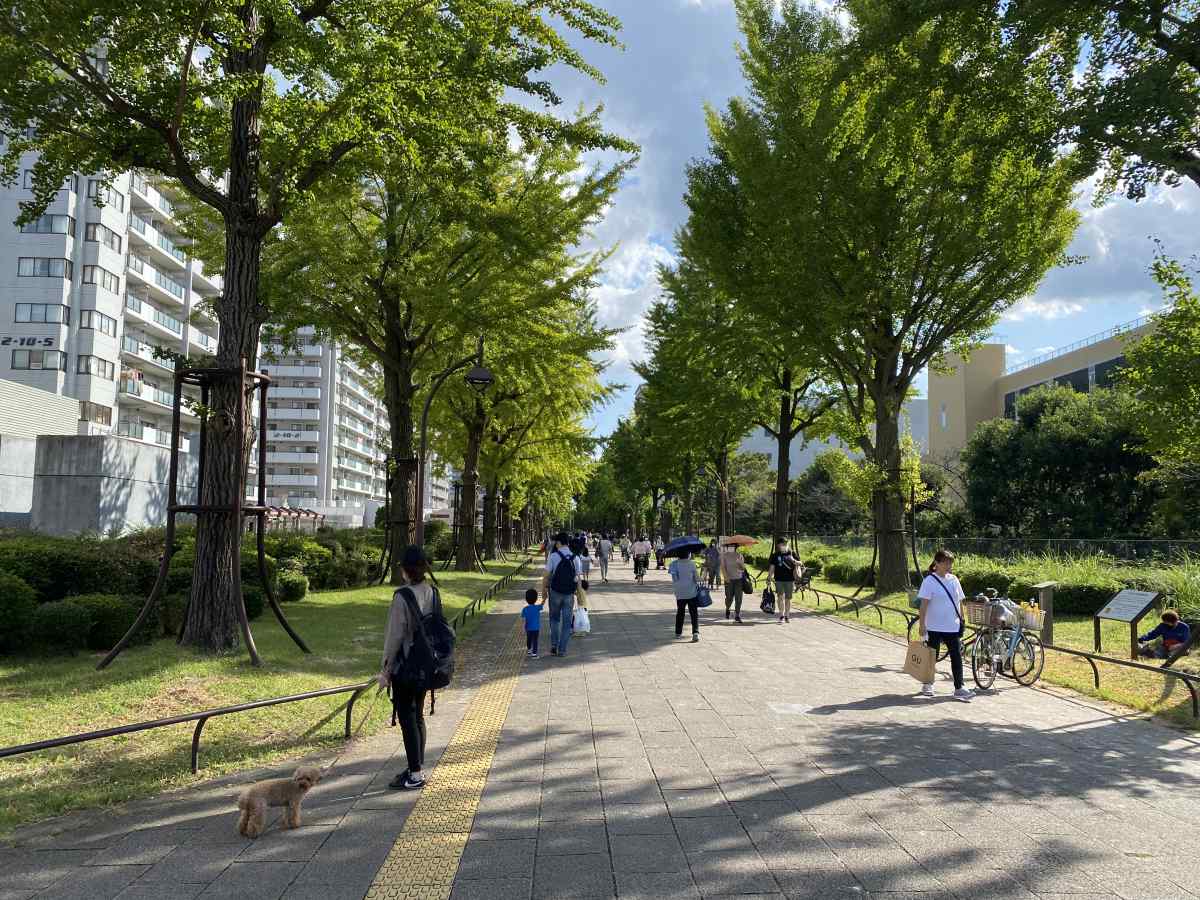 光が丘公園、駅前の道