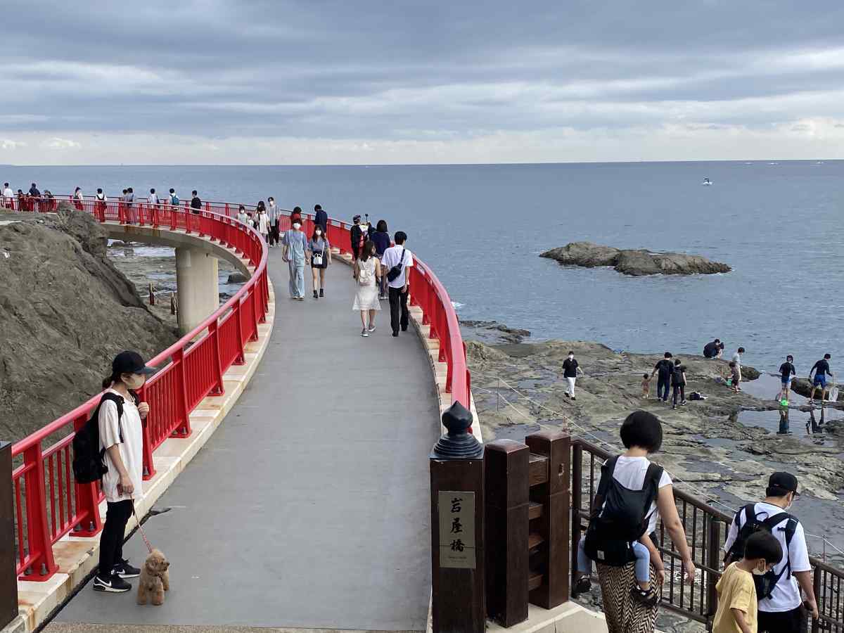 江の島の「稚児ヶ淵」の橋の上から